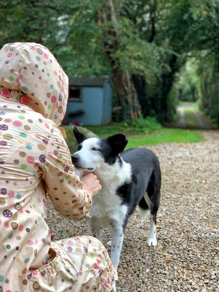Home Glamping Ireland Teapot Lane Best Glamping in Sligo/ Leitrim